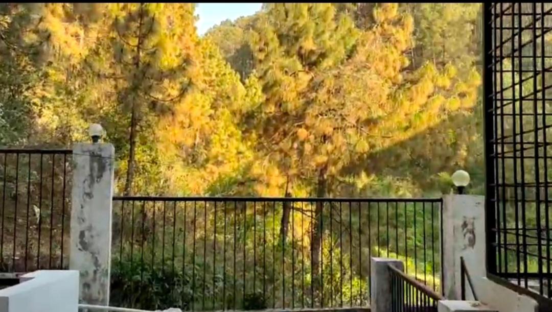 Photo of Others in Shyamkhet