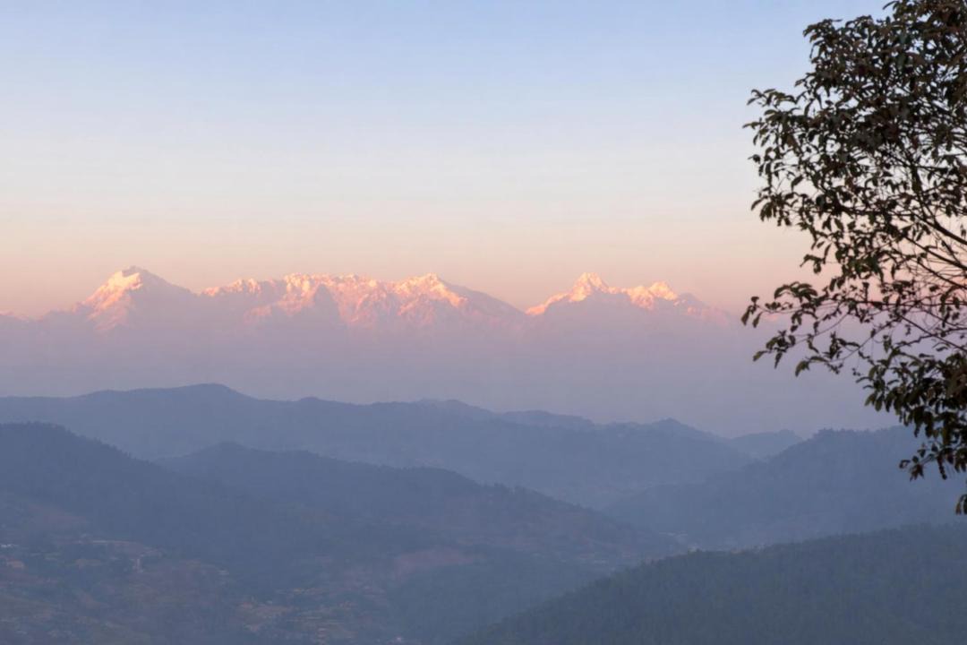 Photo of Others in Almora