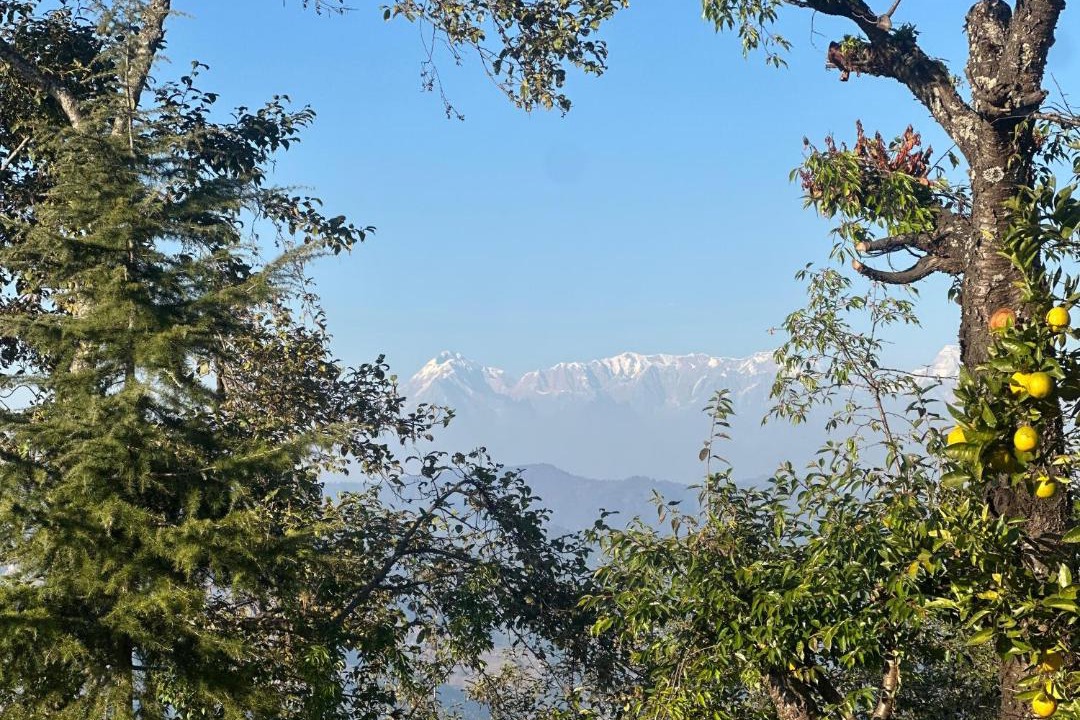 Photo of Others in Almora