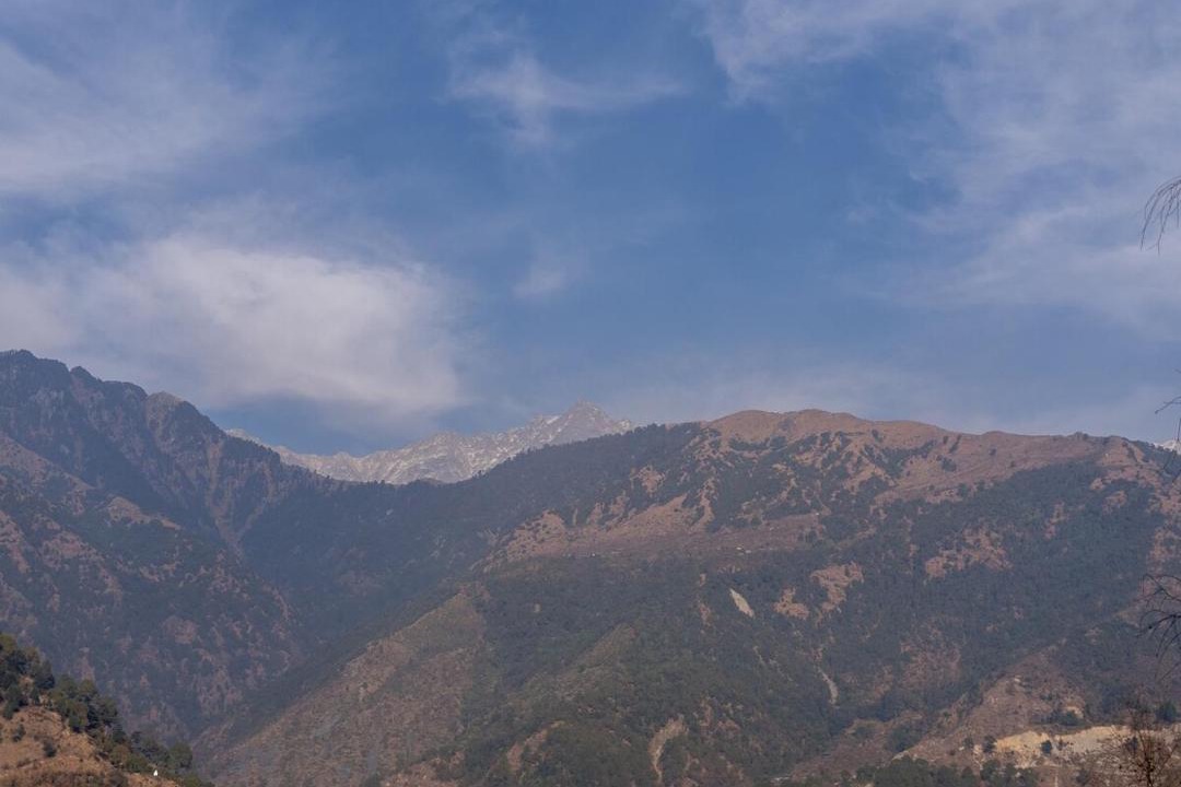 Photo of Others in Dharamshala