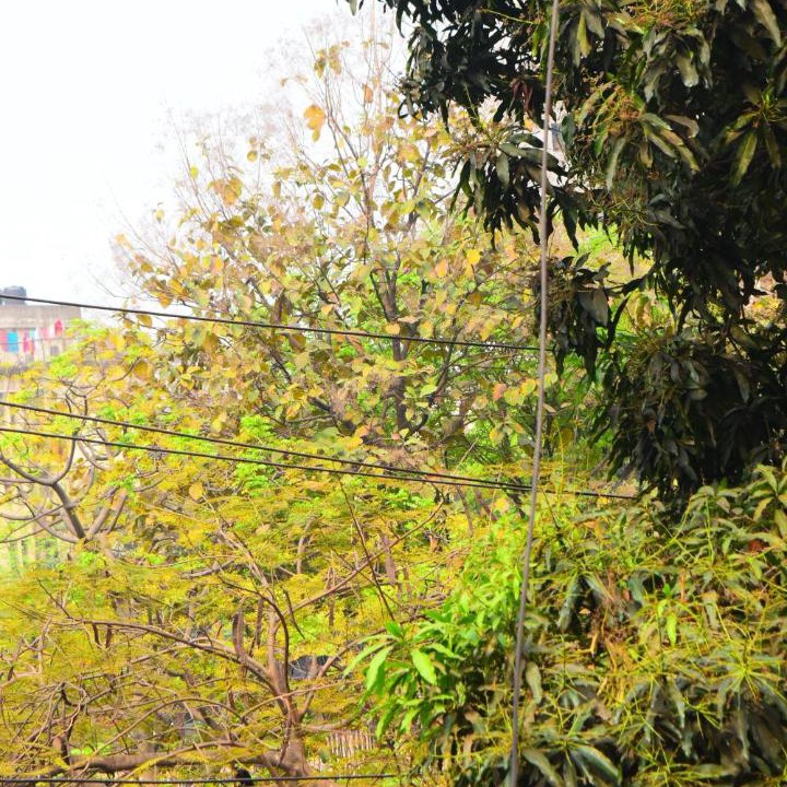 Photo of Outdoor in Dhaka