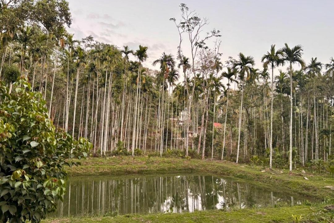 Photo of Others in Madapura