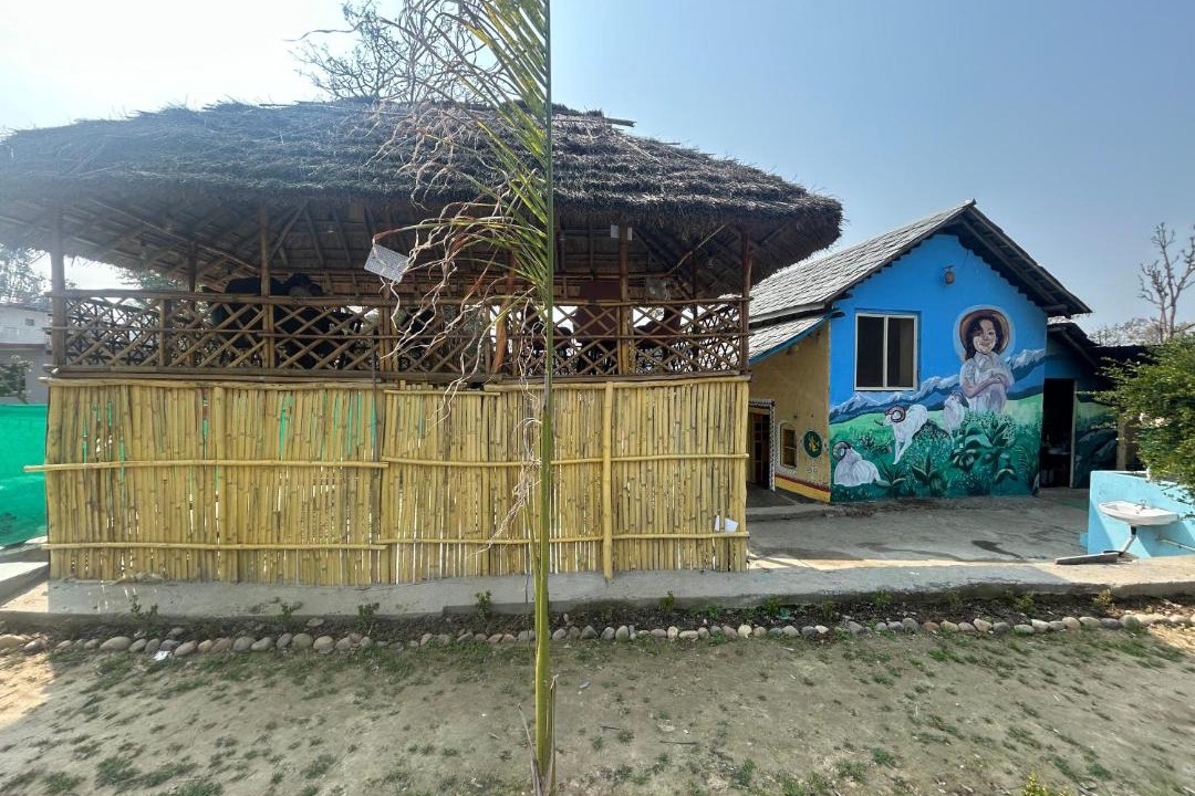 Photo of Others in Dera Gopipur