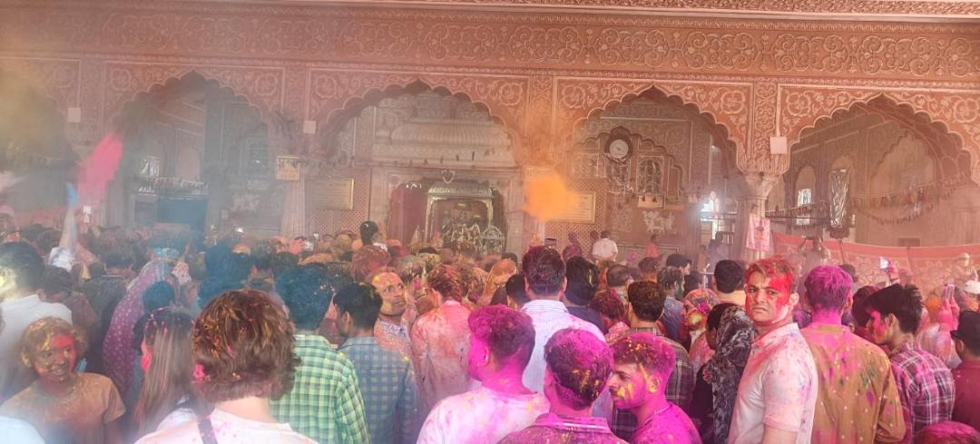 Photo of Others in Pink City