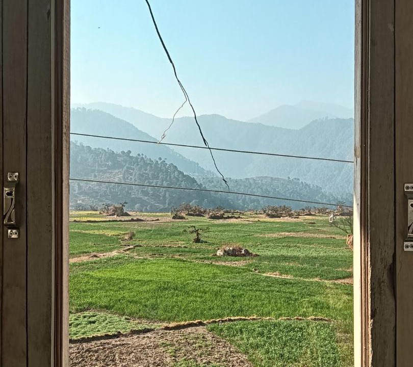 Photo of Others in Rajgarhi