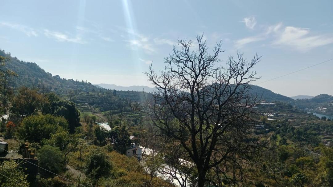 Photo of Others in Bhimtal