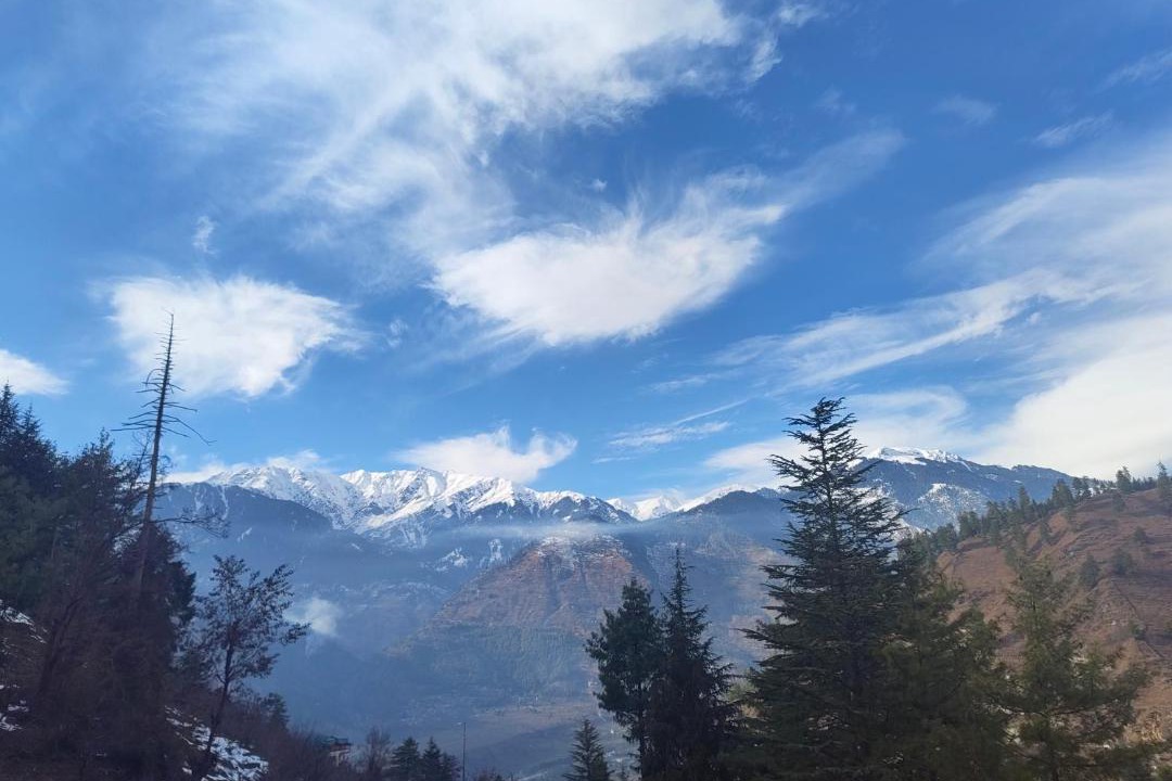 Photo of Others in Manali