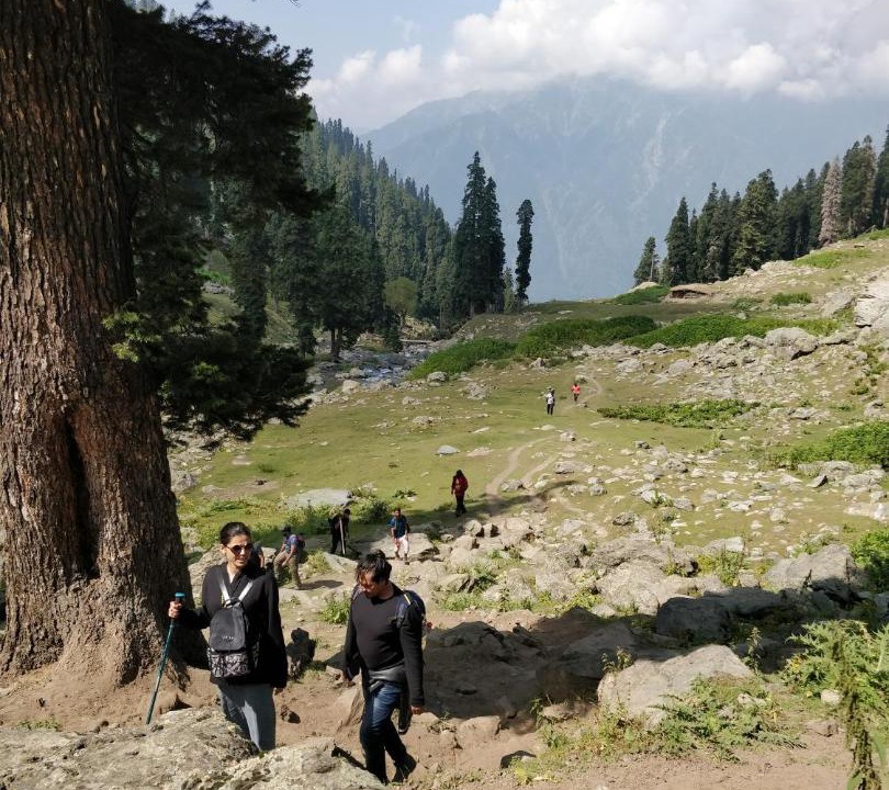 Photo of Others in Laripora