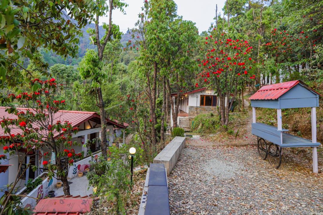 Photo of Others in Kasiyalekh