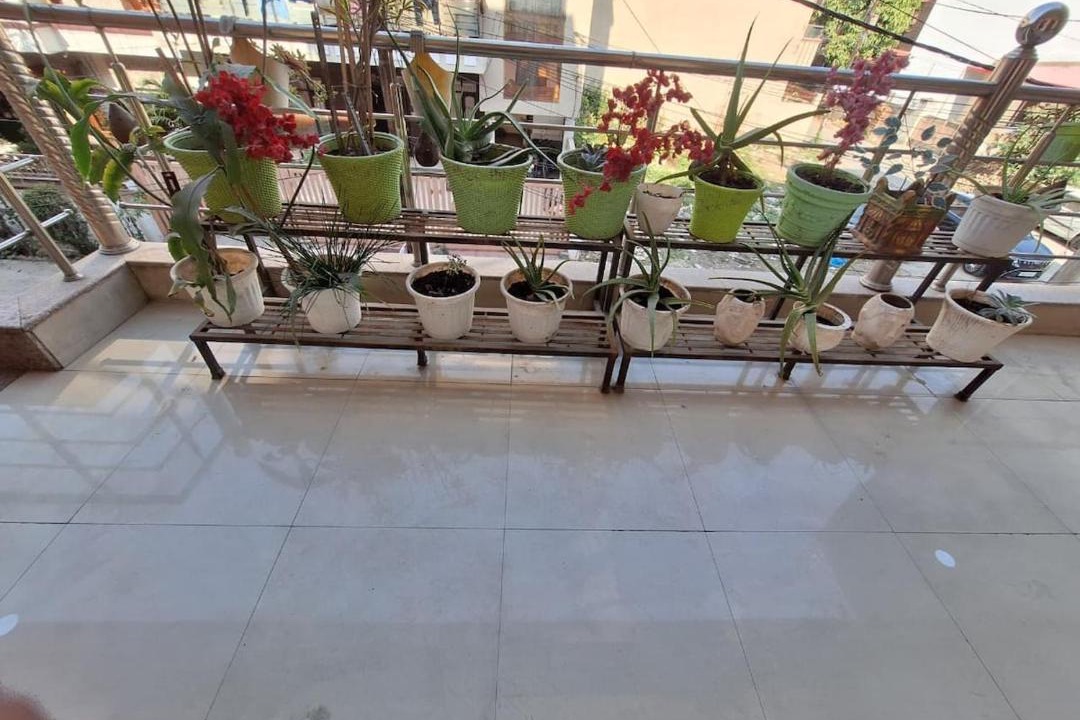 Photo of Patio Balcony in Dehradun