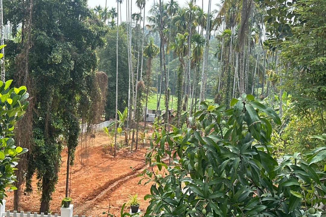 Photo of Others in Kunnamkulam