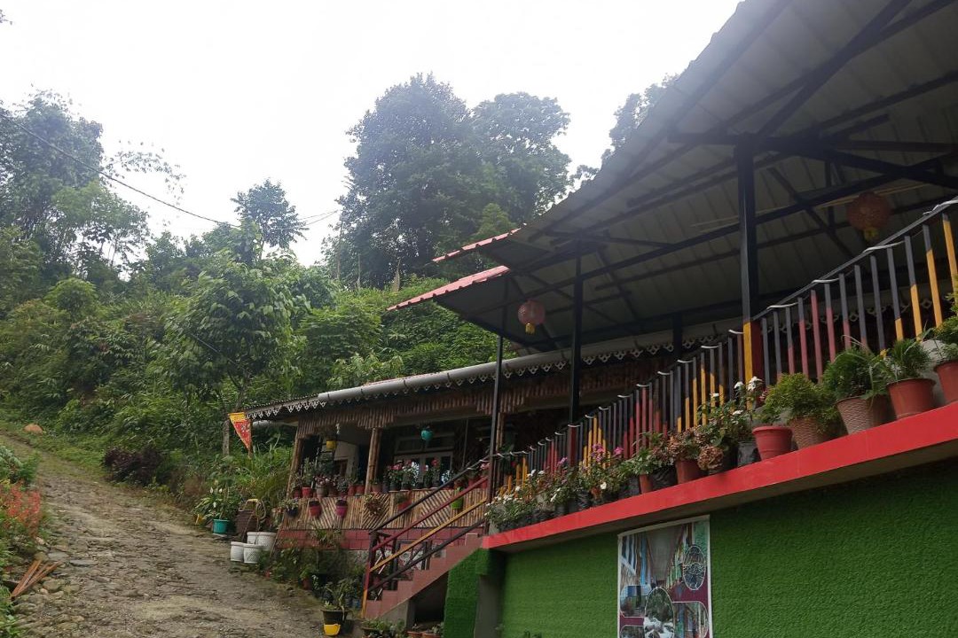Photo of Others in Kumai