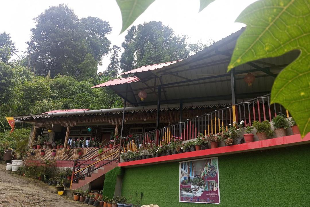 Photo of Others in Kumai