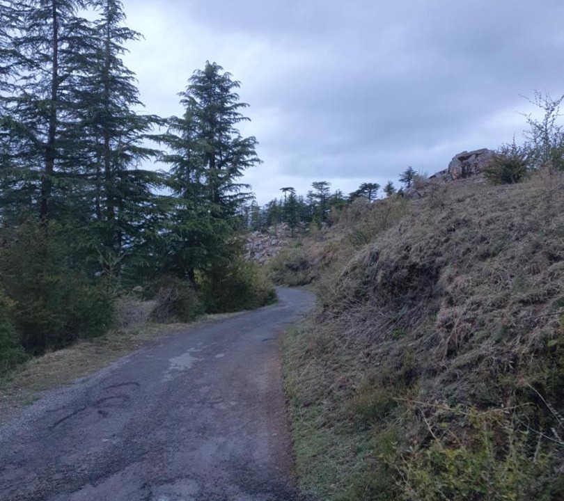 Photo of Others in Baldeyan