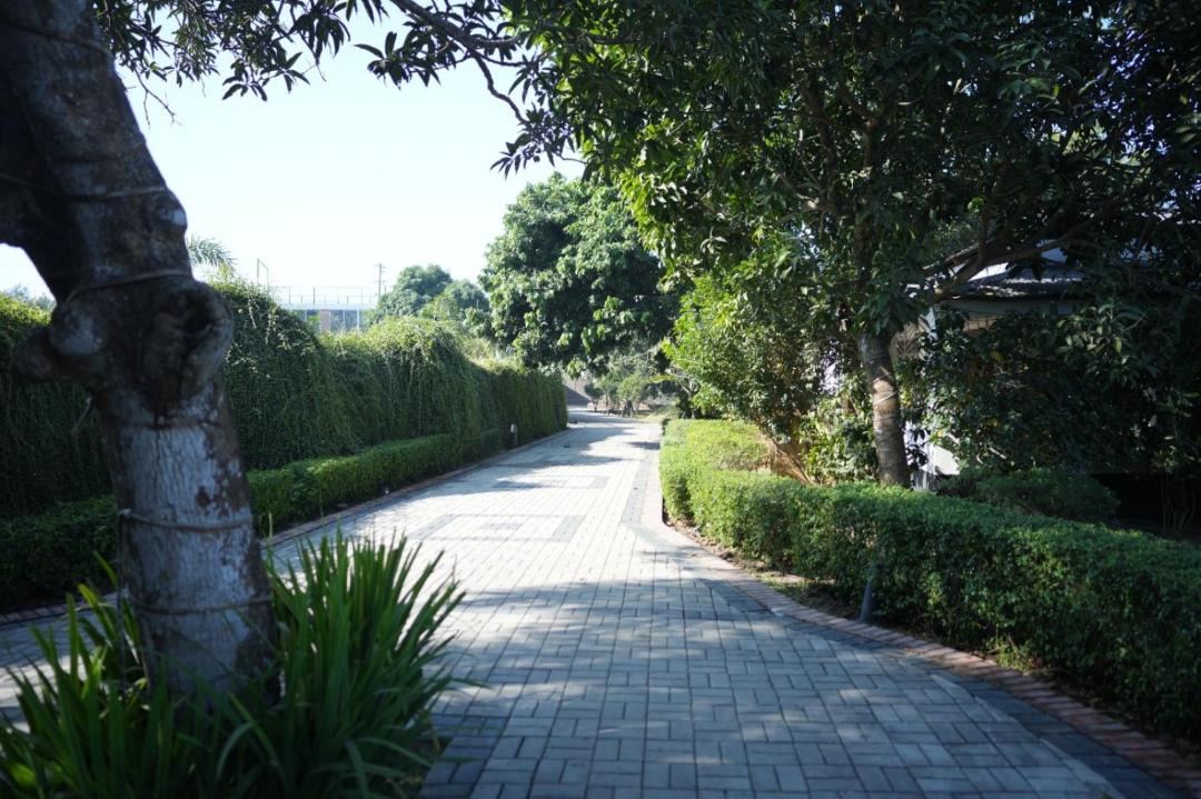 Photo of Outdoor in Gazipur District