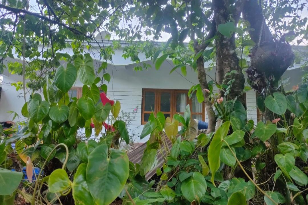 Photo of Others in Devikolam