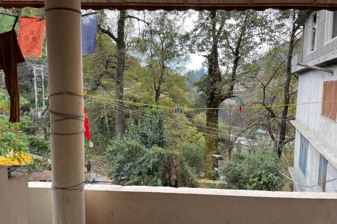Photo of Others in Old Manali