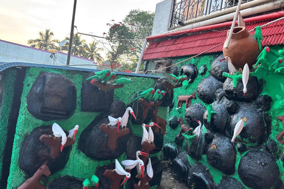 Photo of Others in Yelagiri