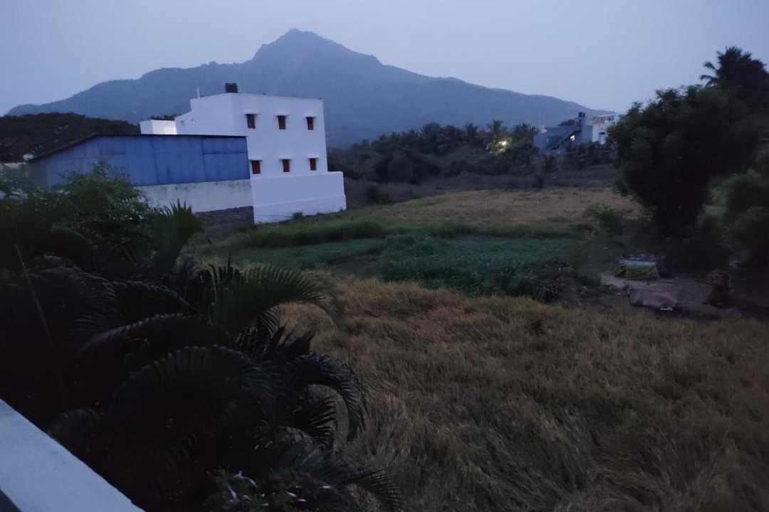 Photo of Others in Tiruvannamalai