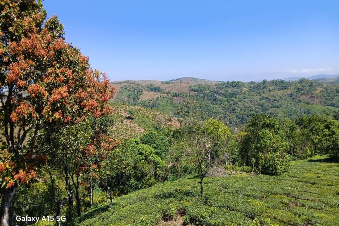 Photo of Others in Vagamon