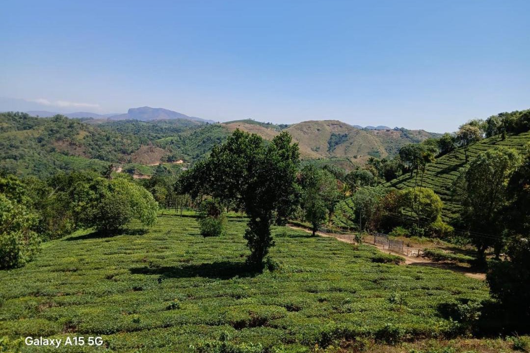 Photo of Others in Vagamon
