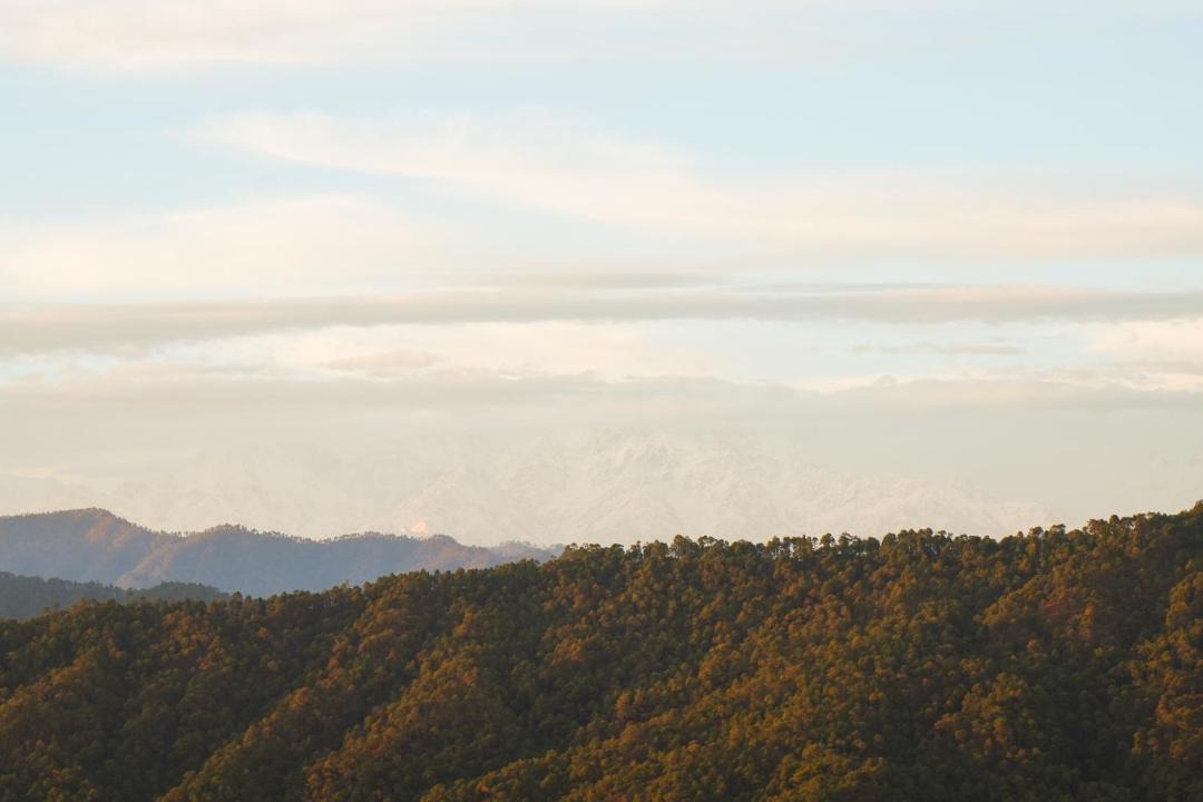 Photo of Others in Almora