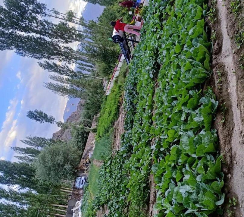 Photo of Others in Leh