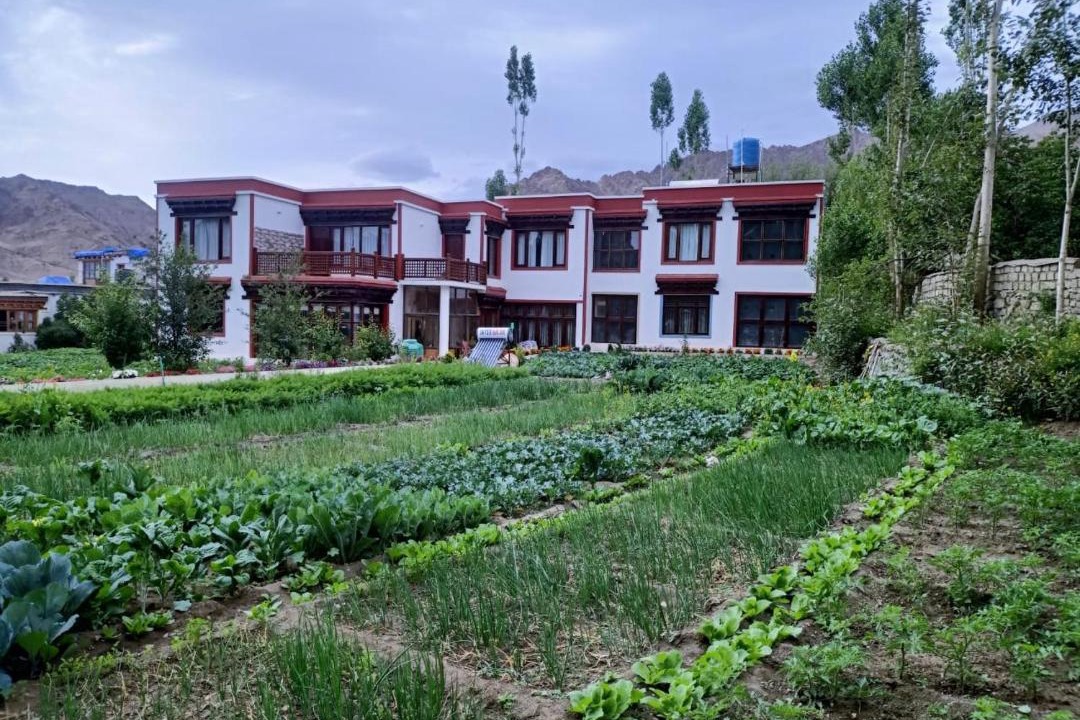 Photo of Others in Leh