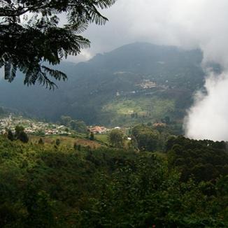 Photo of Others in Yelagiri
