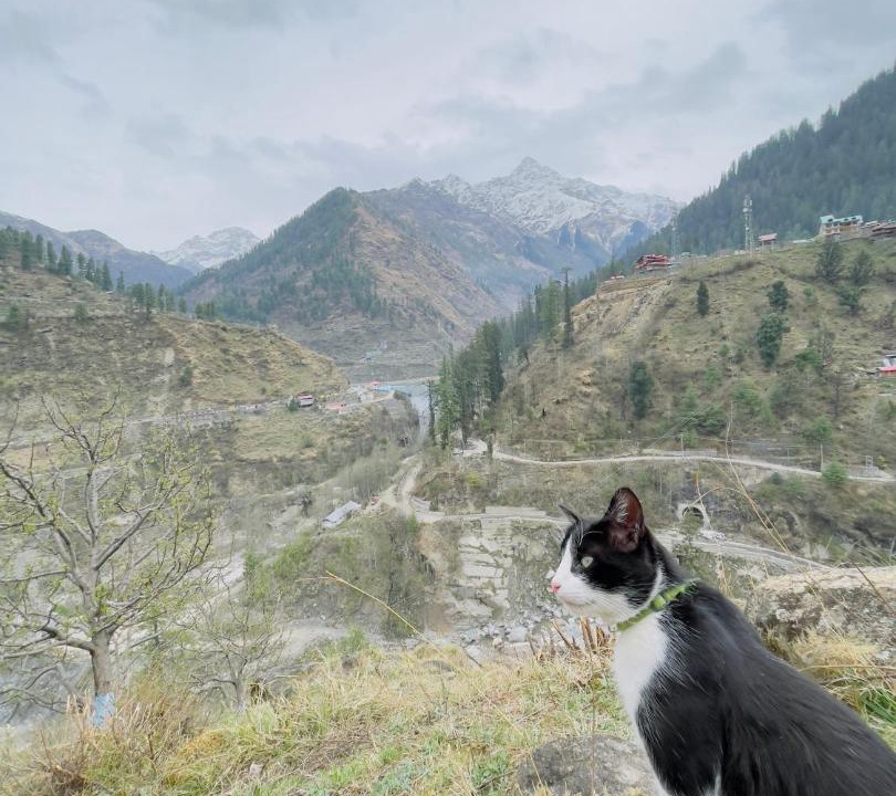 Photo of Others in Kullu