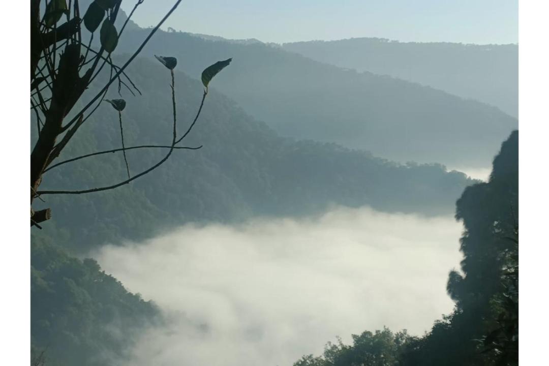 Photo of Others in Naina Range