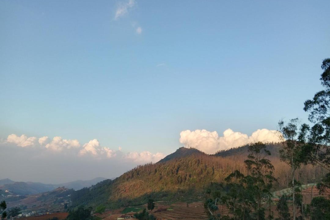 Photo of Others in Ooty