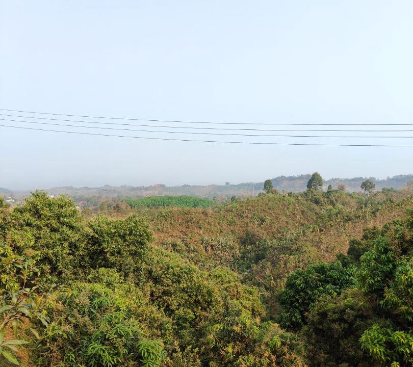Photo of Others in Bandarban