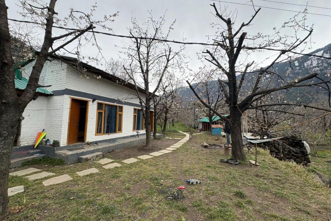 Photo of Others in Old Manali