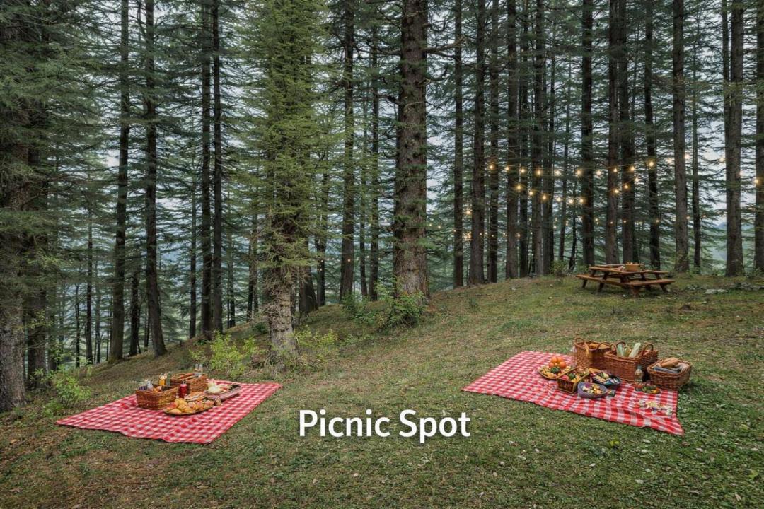 Photo of Others in Shimla
