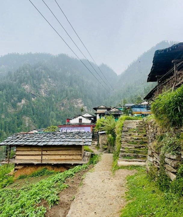 Photo of Others in Jibhi