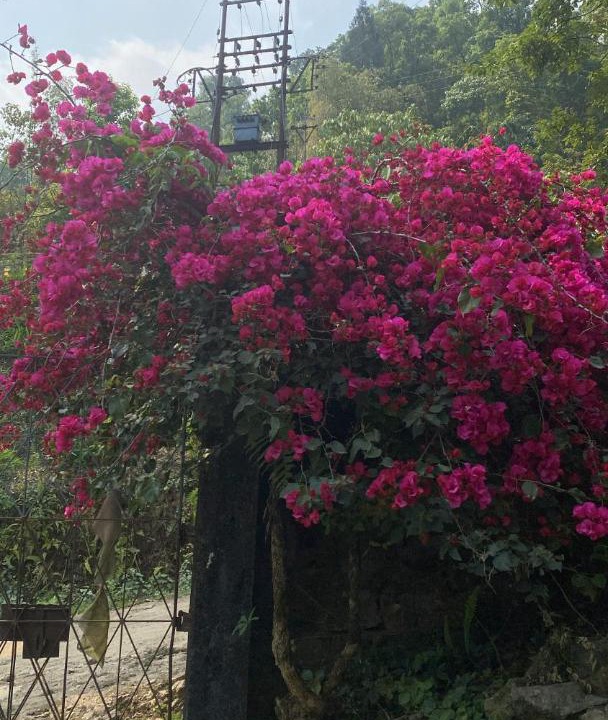Photo of Outdoor in Kumai