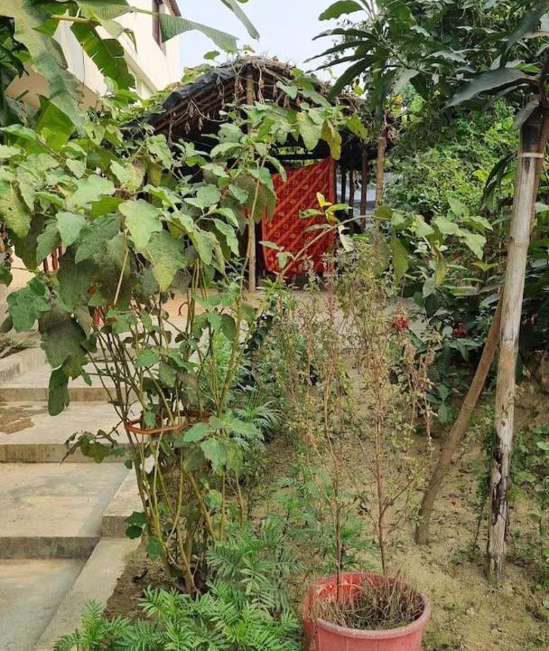 Photo of Others in Jhanjharpur