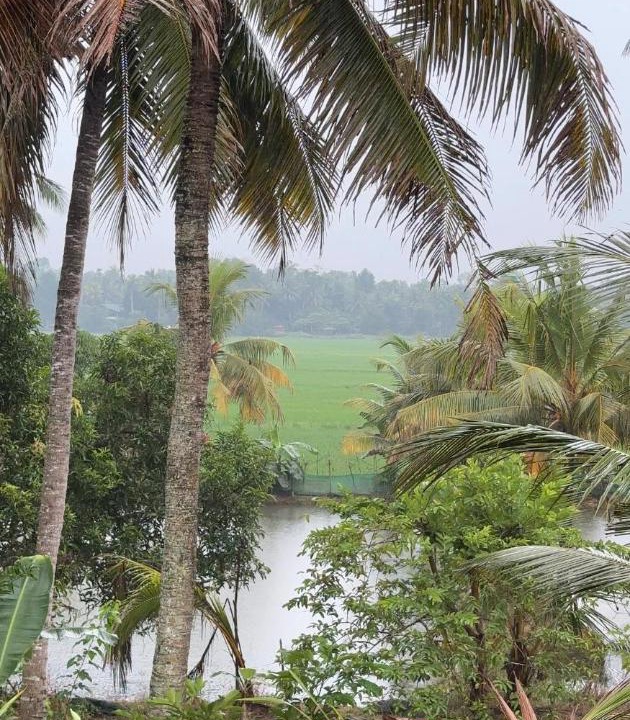 Photo of Others in Kumarakom