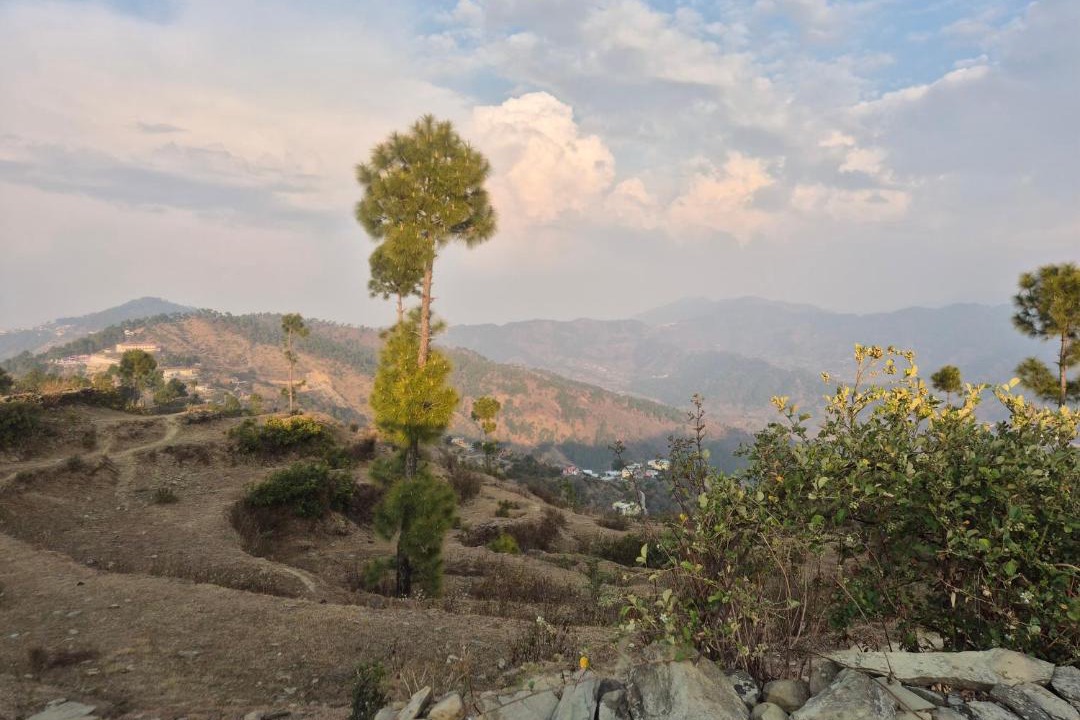 Photo of Others in Sirala