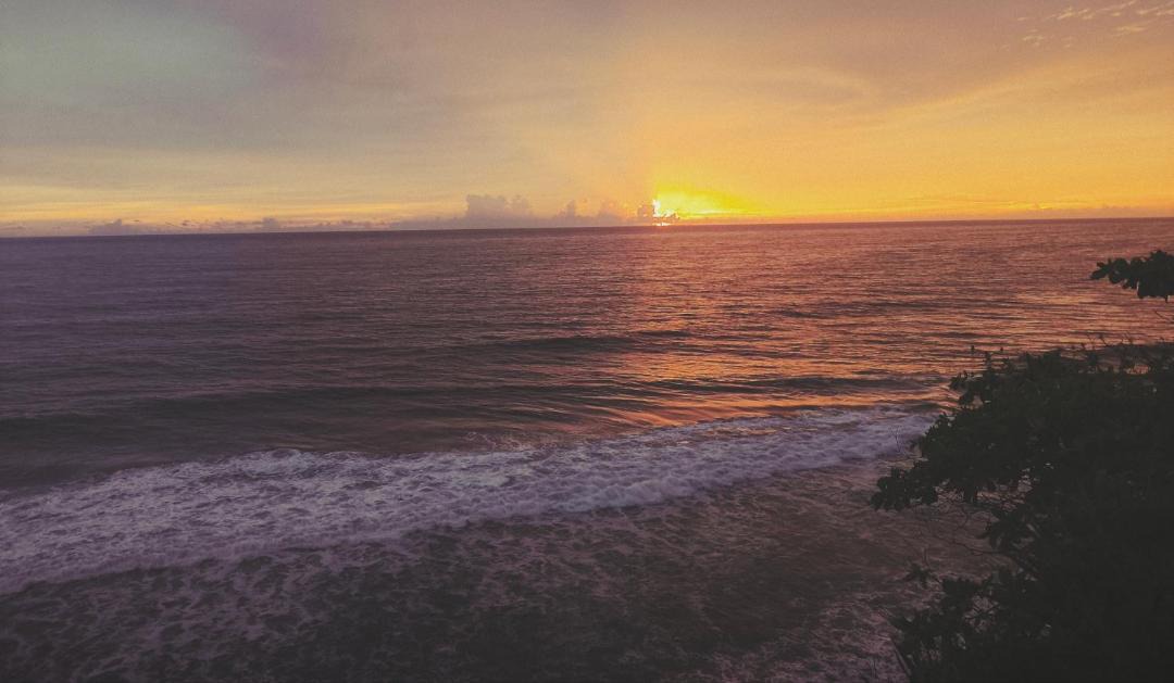 Photo of Others in Varkala