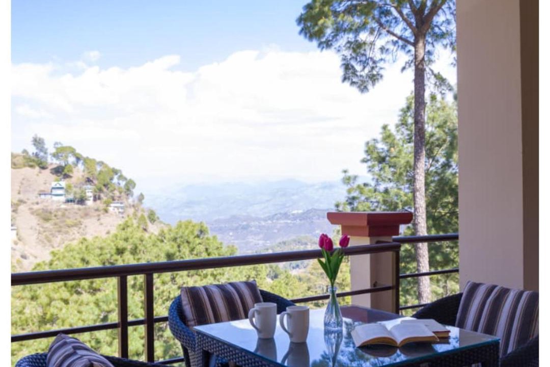 Photo of Others in Kasauli