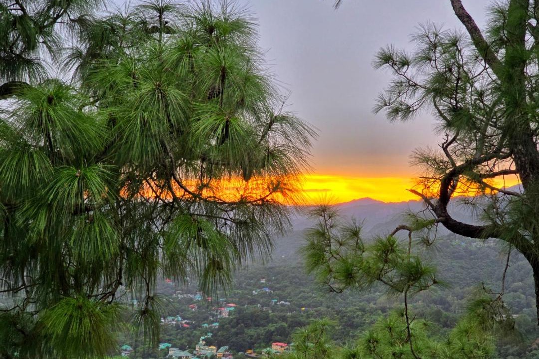 Photo of Others in Dharamshala