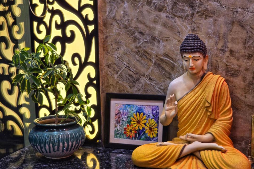 Photo of Others in Dharamshala