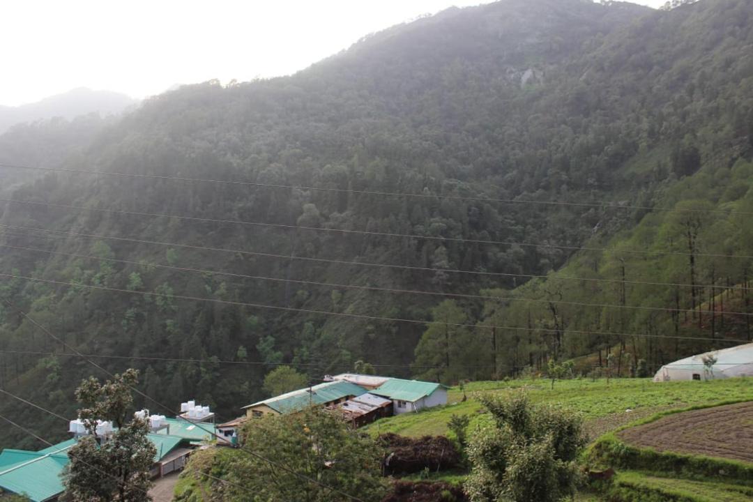 Photo of Others in Nainital