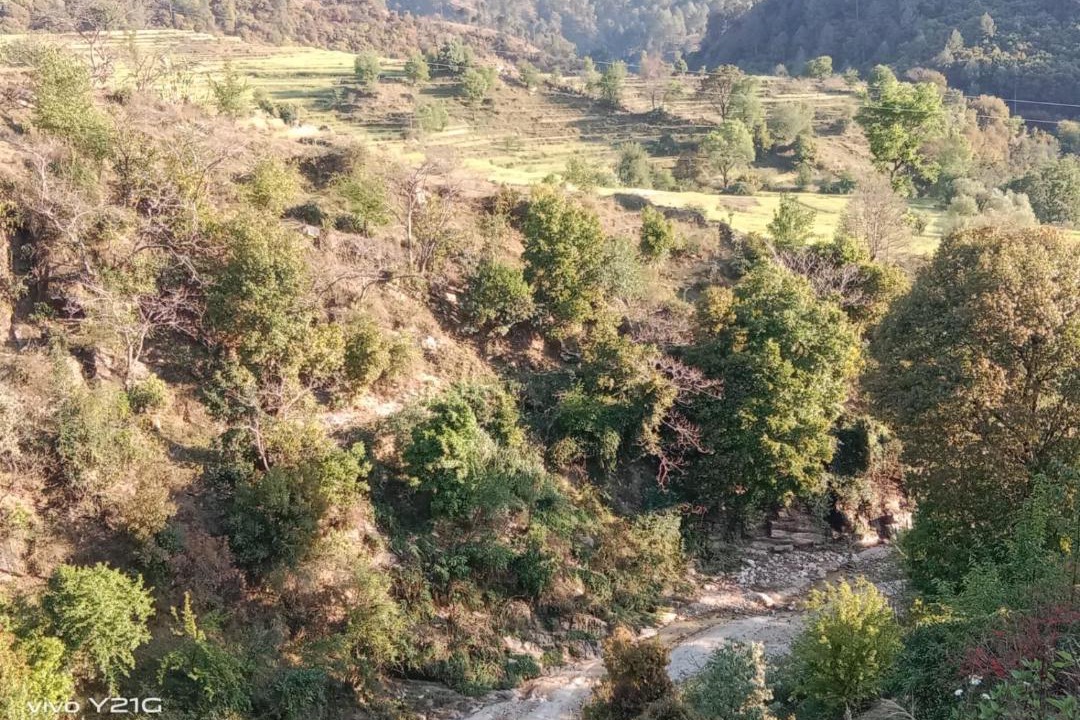 Photo of Others in Vijaypur