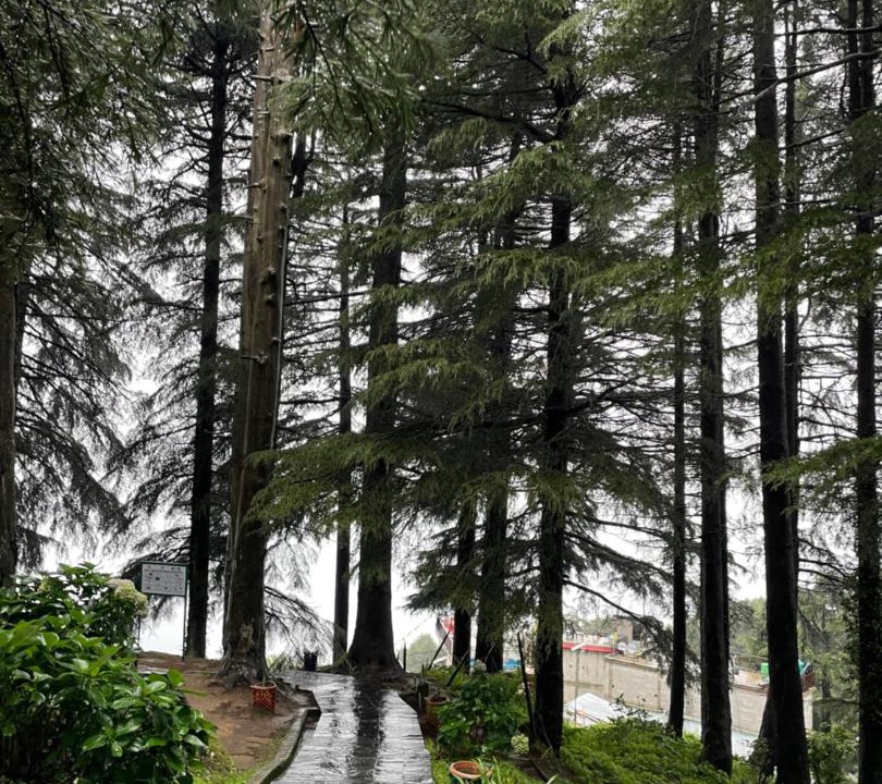 Photo of Others in Dalhousie