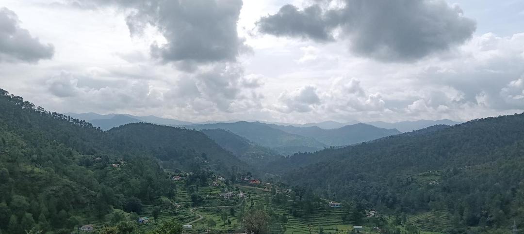 Photo of Others in Almora