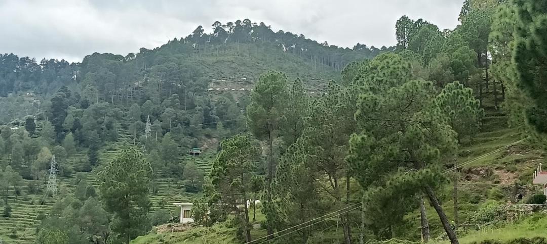 Photo of Others in Almora