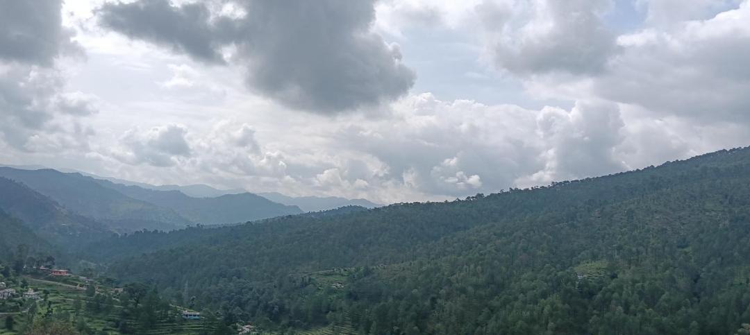 Photo of Others in Almora